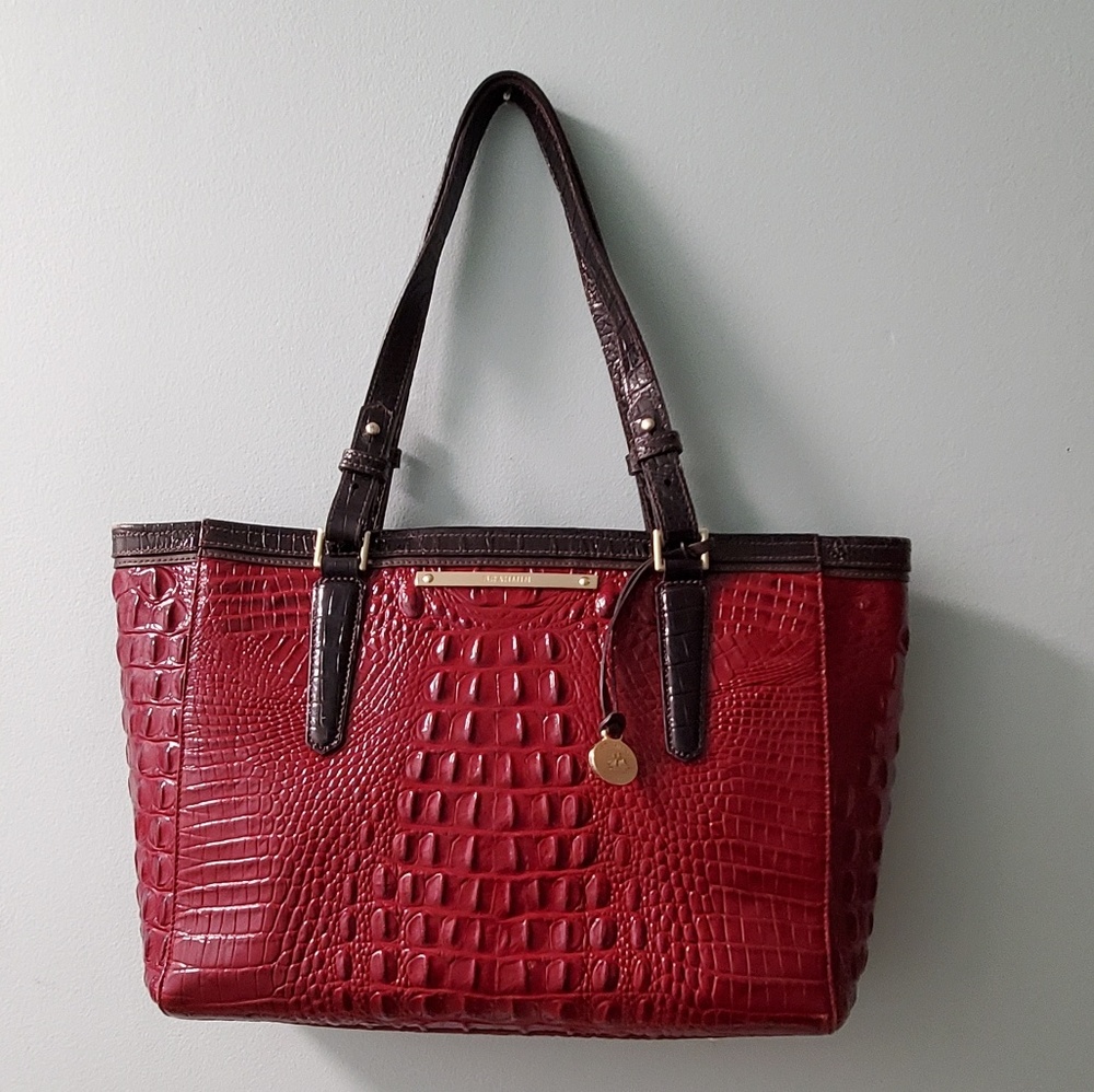 Red and brown Brahmin